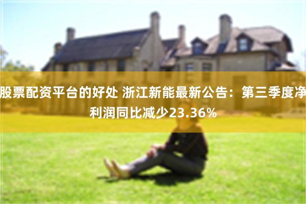 股票配资平台的好处 浙江新能最新公告：第三季度净利润同比减少23.36%
