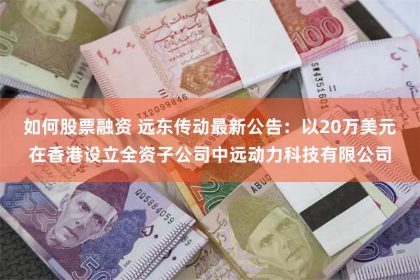 如何股票融资 远东传动最新公告：以20万美元在香港设立全资子公司中远动力科技有限公司