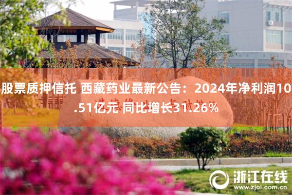 股票质押信托 西藏药业最新公告：2024年净利润10.51亿元 同比增长31.26%