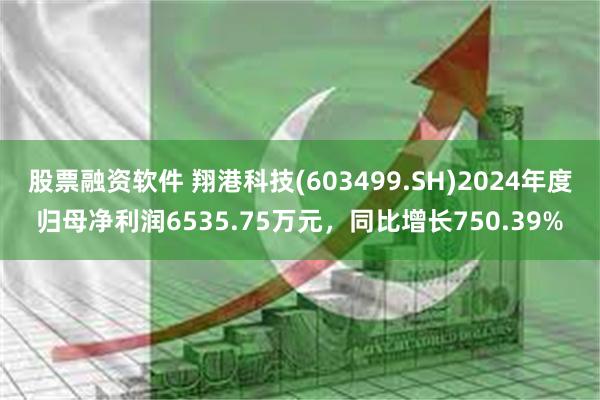 股票融资软件 翔港科技(603499.SH)2024年度归母净利润6535.75万元，同比增长750.39%