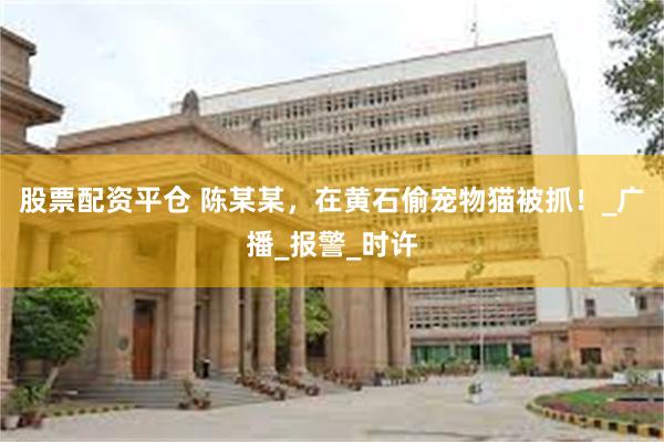 股票配资平仓 陈某某，在黄石偷宠物猫被抓！_广播_报警_时许