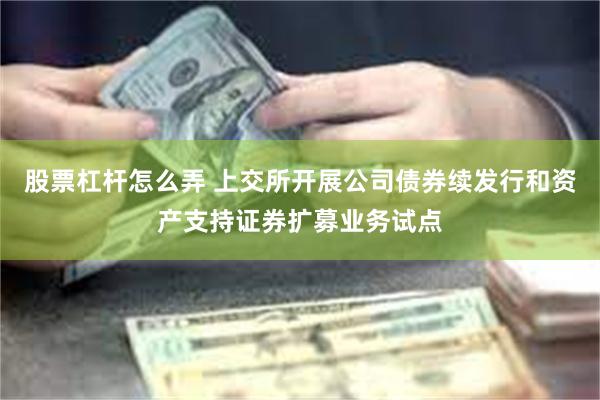 股票杠杆怎么弄 上交所开展公司债券续发行和资产支持证券扩募业务试点
