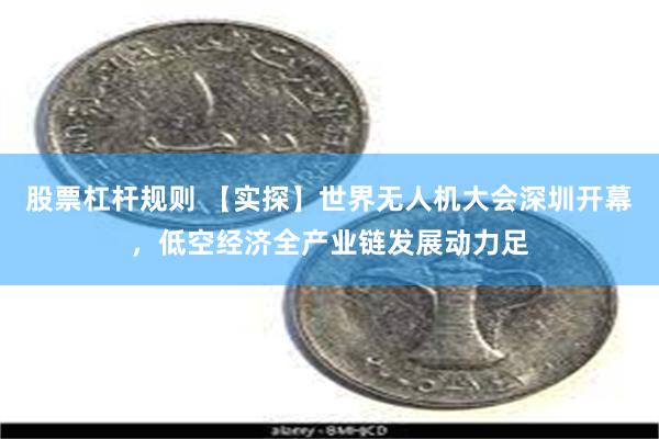 股票杠杆规则 【实探】世界无人机大会深圳开幕，低空经济全产业链发展动力足