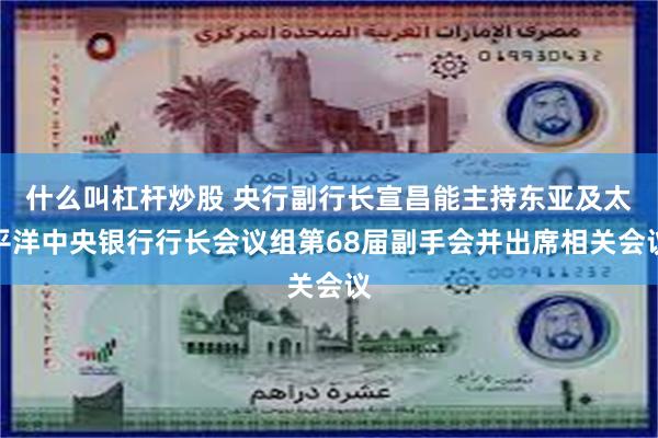 什么叫杠杆炒股 央行副行长宣昌能主持东亚及太平洋中央银行行长会议组第68届副手会并出席相关会议