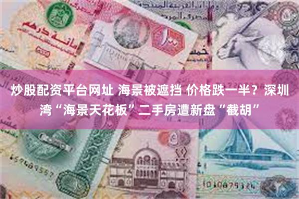 炒股配资平台网址 海景被遮挡 价格跌一半？深圳湾“海景天花板”二手房遭新盘“截胡”
